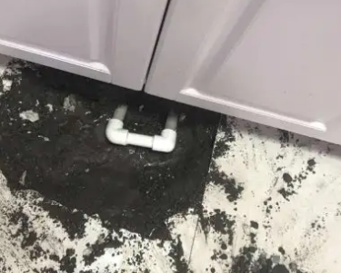 三山查漏水哪家好